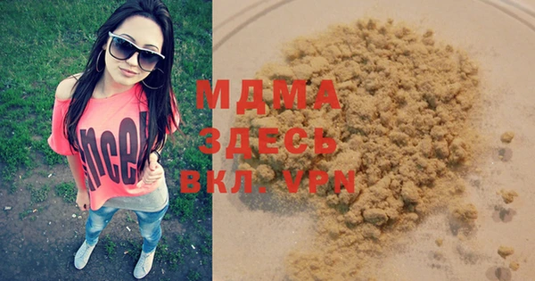 молекула духа Бородино