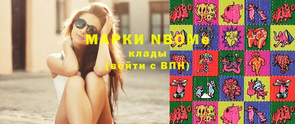 молекула духа Бородино