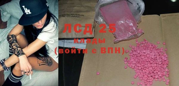 молекула духа Бородино