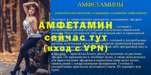 молекула духа Бородино