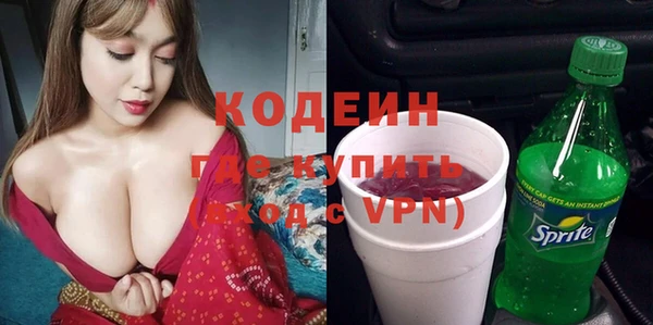 молекула духа Бородино