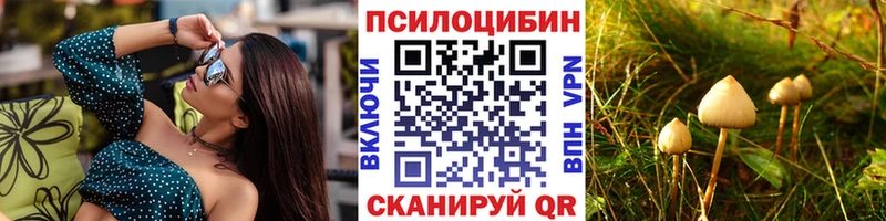 Галлюциногенные грибы мицелий  закладки  Армавир 